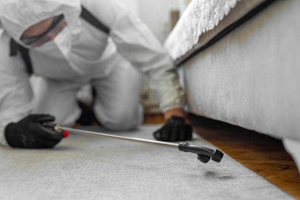 Professional Bed Bug Control technician working in Madras, OR